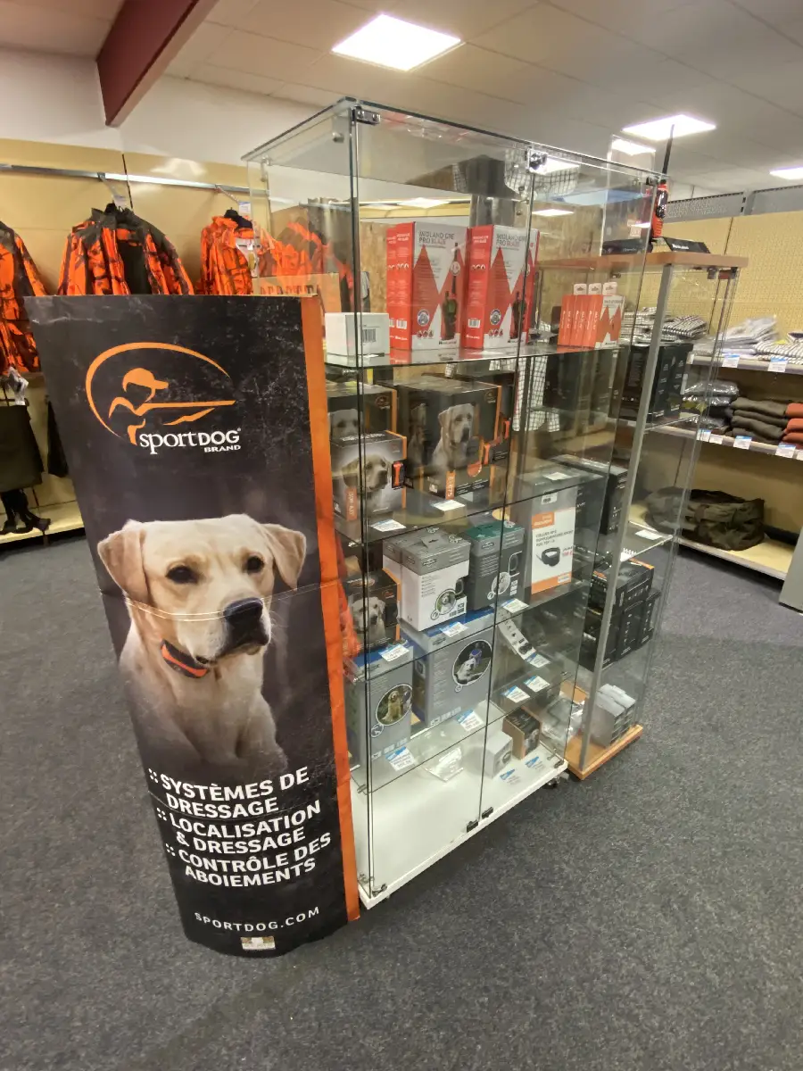 chasse chien4 territoiresnature