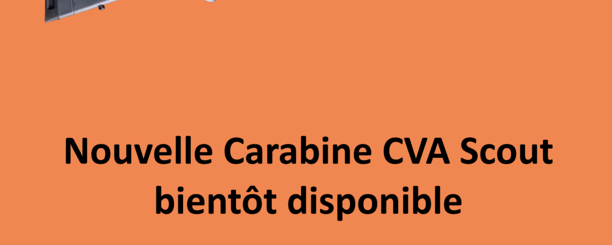 SCOUT TD VERTICAL CORRECTO scaled