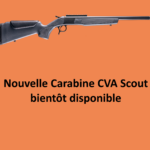 SCOUT TD VERTICAL CORRECTO scaled