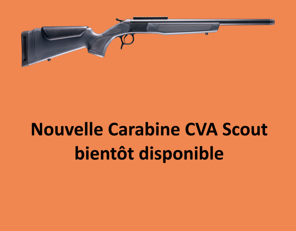 SCOUT TD VERTICAL CORRECTO scaled